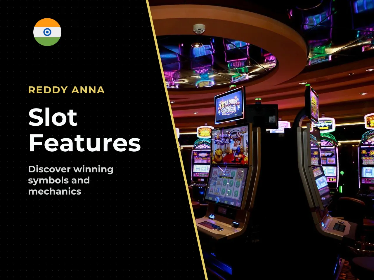 Free Spins, Wild and Multipliers. The