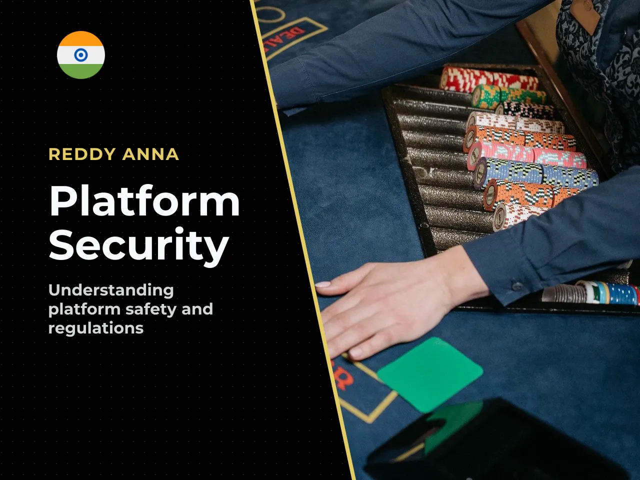 Is the Reddy Anna Platform Safe